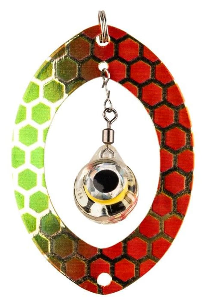 IFISH Akka 60, view: 5