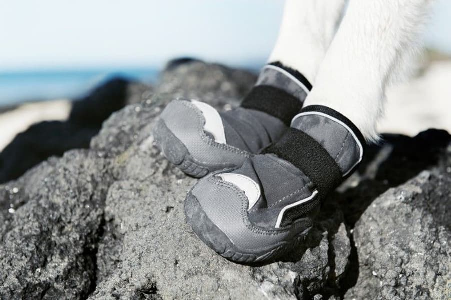 Outback Hundsko, view: 1