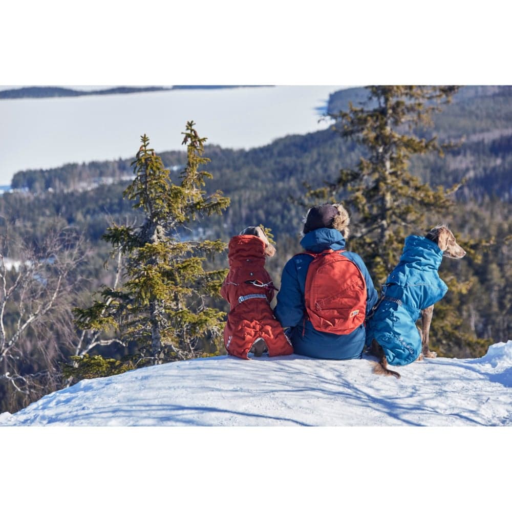 Extreme Warmer III Eco 55-65 cm Bilberry, view: 2