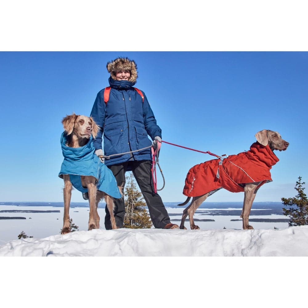 Extreme Warmer III Eco 55-65 cm Bilberry, view: 3