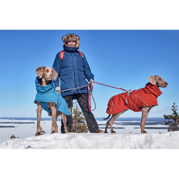 Extreme Warmer III Eco 55-65 cm Bilberry, view: 3