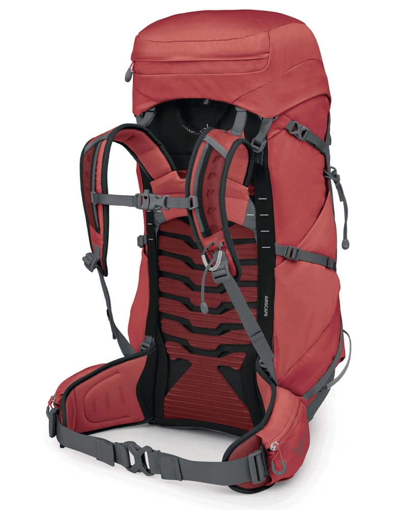 Tempest 44 Red Pampas Coal Grey, view: 2