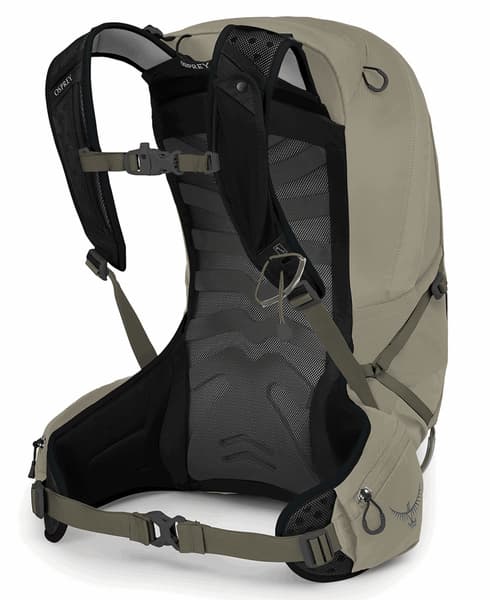 Talon 22 Sawdust/Earl Grey, view: 3