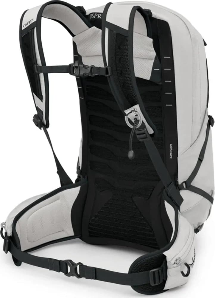 Talon 22 White Black, view: 2