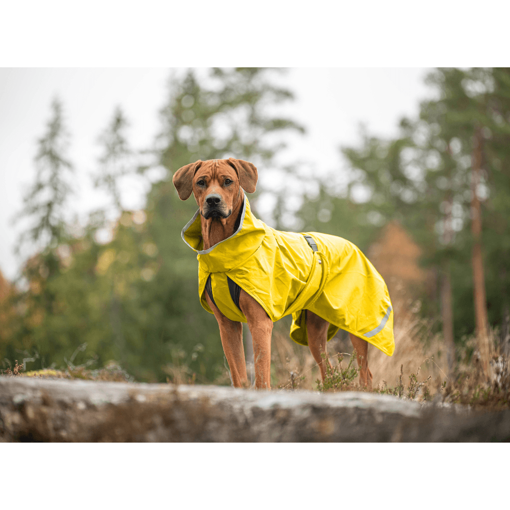 Kuori 60-65 cm Lemonade, view: 1