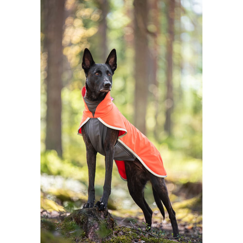 Sportti 52-56 cm Habanero, view: 1