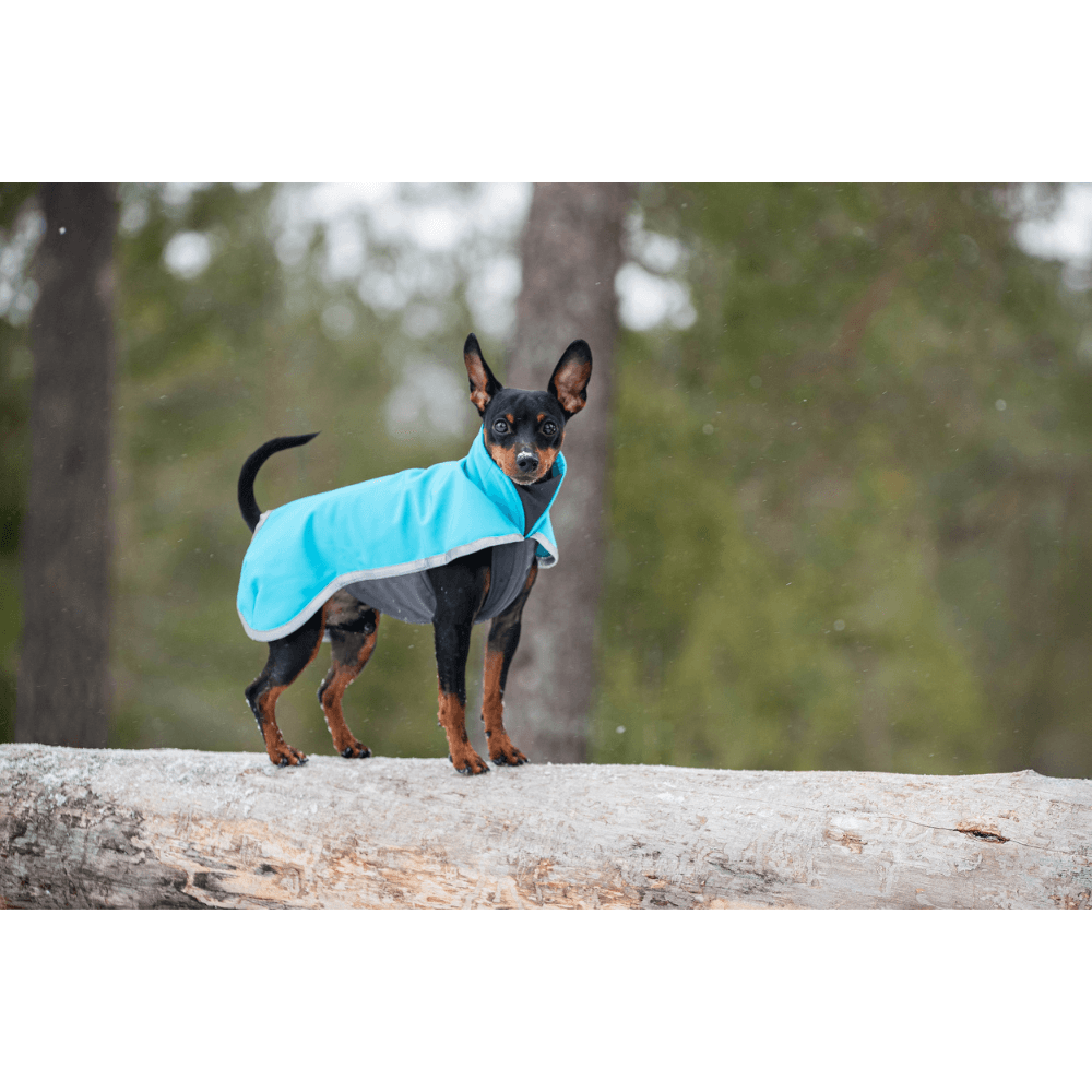 Sportti 52-56 cm Arctic, view: 2