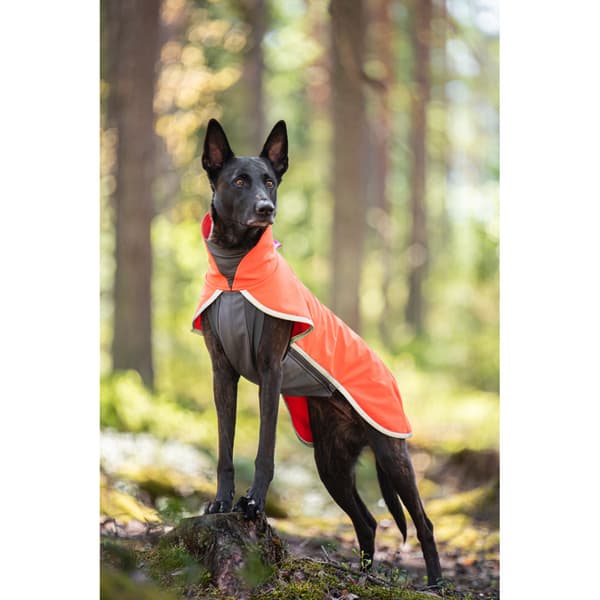 Sportti 44-48 cm Habanero, view: 1