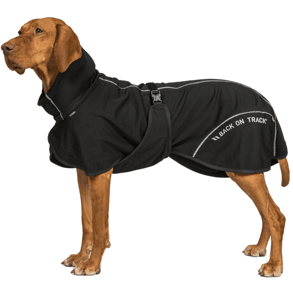 Bay Mesh Coat Low Set Tail 40-50 cm Black, view: 1