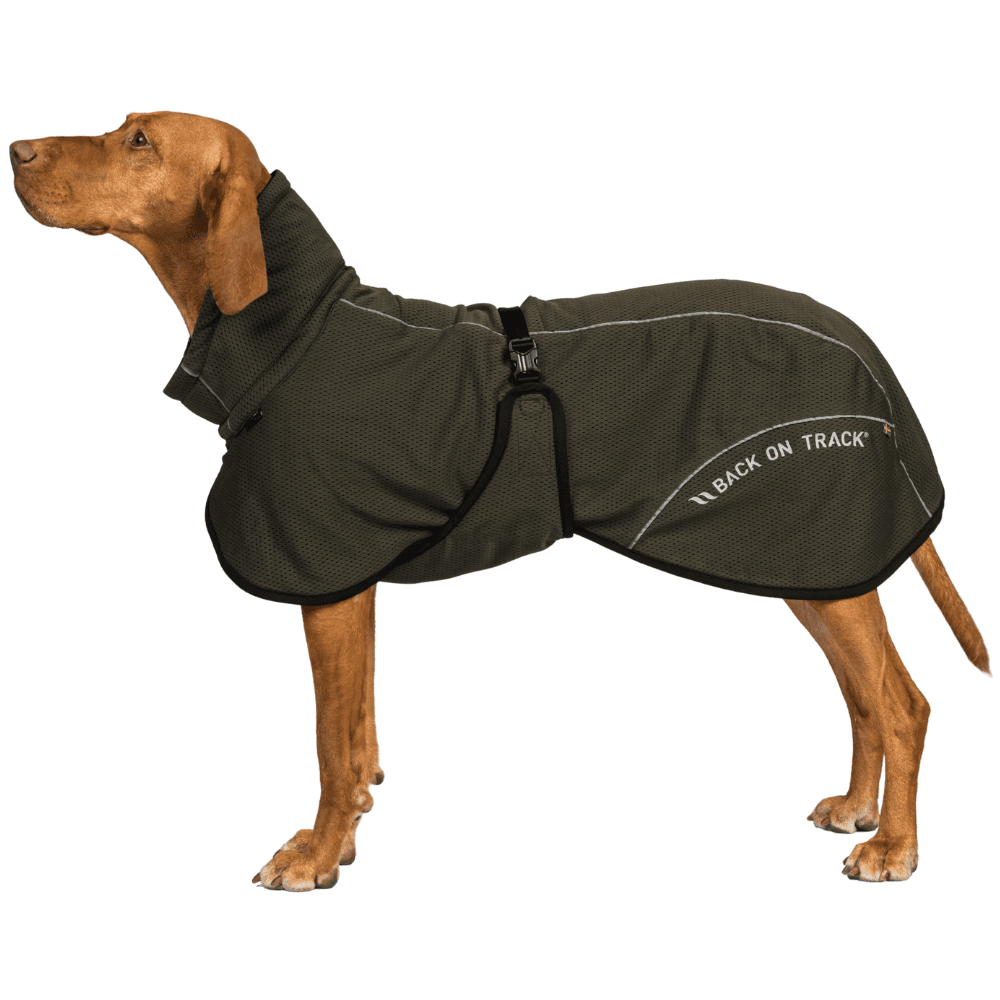 Bay Mesh Coat Low Set Tail 30-35 cm Olive, view: 2