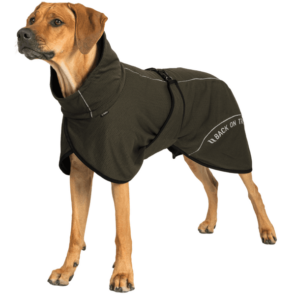 Bay Mesh Coat Low Set Tail 55-65 cm Olive, view: 1