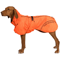 Bay Rain Coat High Set Tail 40-50 cm Orange - view: 1