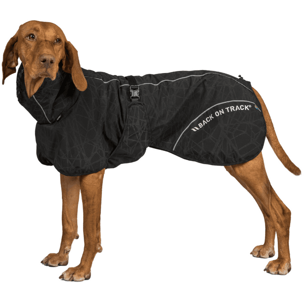 Bay Rain Coat High Set Tail 70-80 cm Black, view: 1