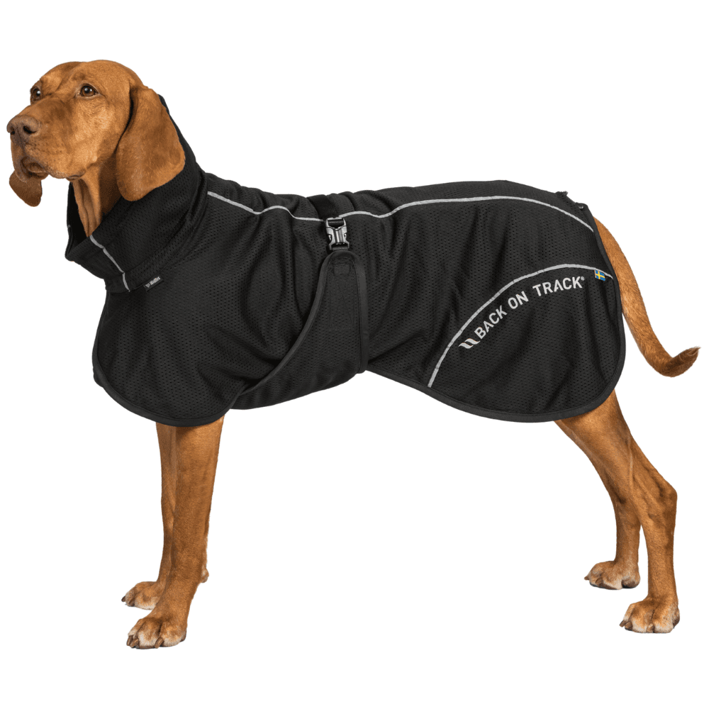 Bay Mesh Coat High Set Tail 55-65 cm Black, view: 1