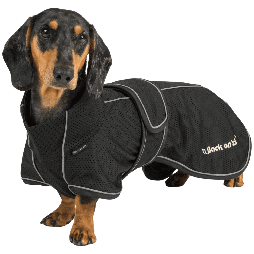 Buddy 2.0 Mesh Coat High Set Tail 28-44 cm Black, view: 1