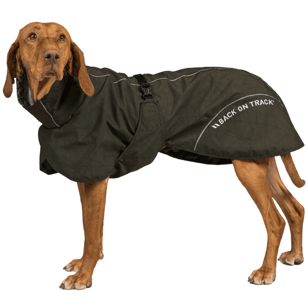 Bay Rain Shell Coat Low Set Tail 30-35 cm Olive, view: 1