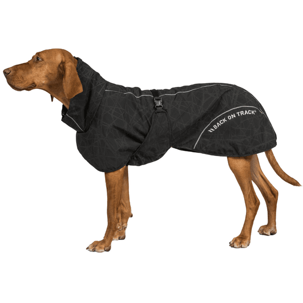 Bay Rain Shell Coat Low Set Tail 25-35 cm Black, view: 1