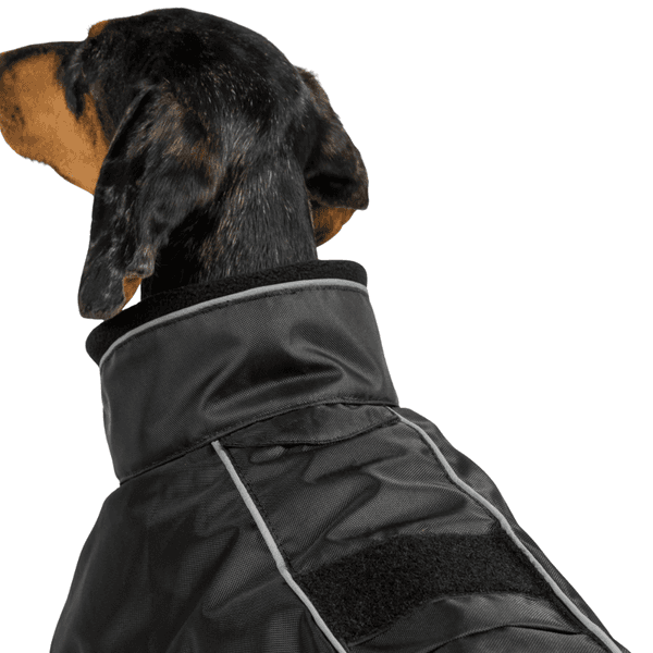 Buddy 2.0 Thermal Coat High Set Tail 28-44 cm Black, view: 1