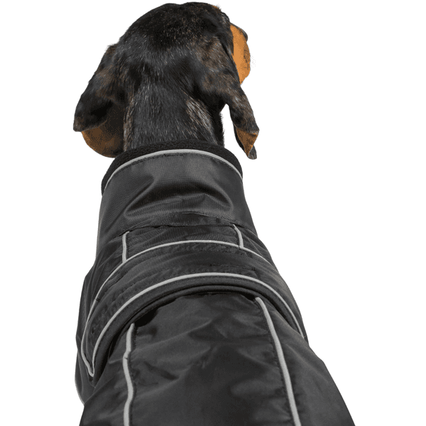 Buddy 2.0 Thermal Coat High Set Tail 50-68 cm Black, view: 2