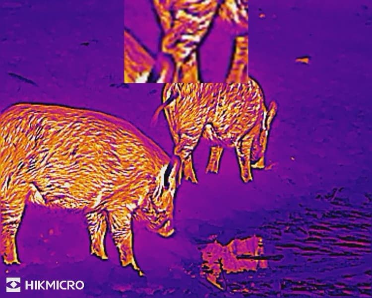 Lynx LH25 2.0, view: 8