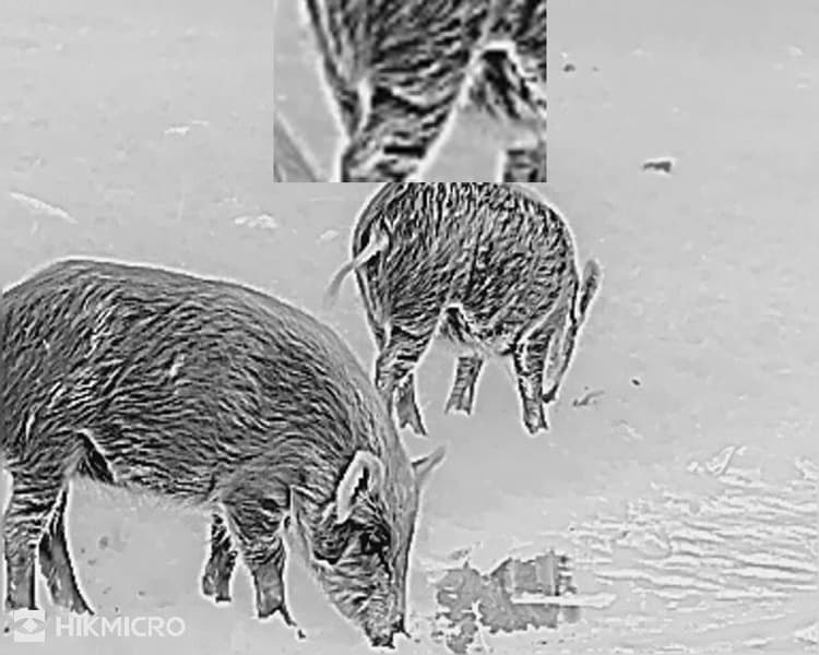 Lynx LH25 2.0, view: 9