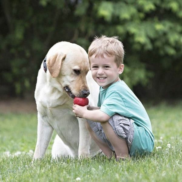 Classic Röd L, view: 3