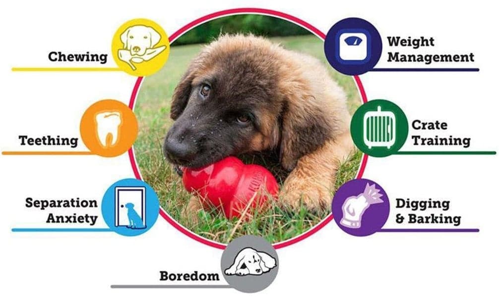 Puppy L Mix, view: 2