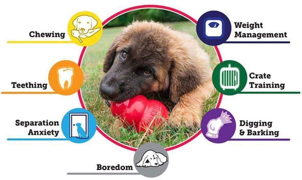 Puppy S Mix, view: 2