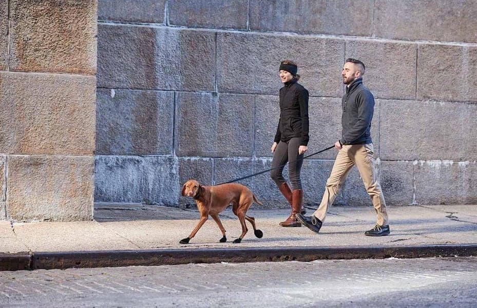 Dog Boots Black XS, view: 7