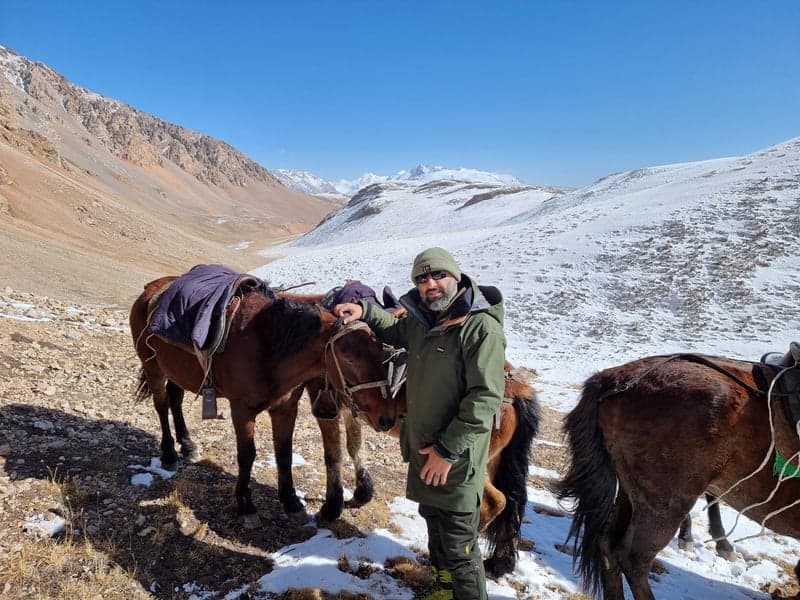 Wapiti XP Olive, view: 14