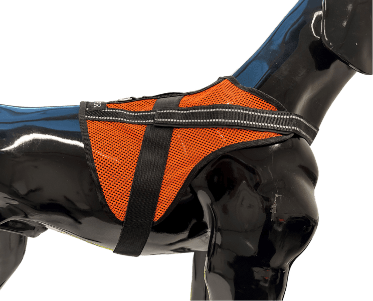 Hundväst Aira, view: 2