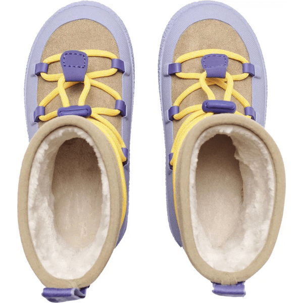 Aspa Hybrid Junior Persian Violet, view: 4