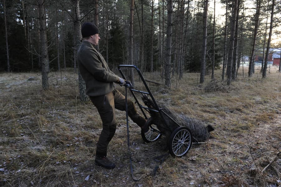 Viltvagn XXL, view: 4