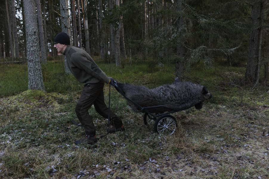 Viltvagn XXL, view: 3