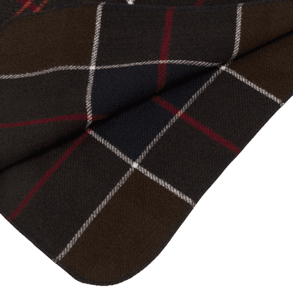 Dog Tartan Blanket Classic Tartan, view: 1