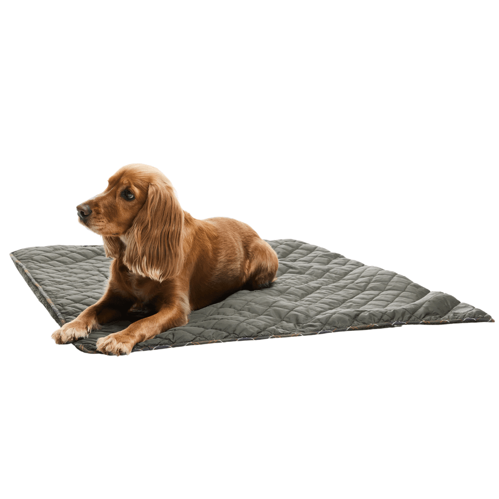 Dog Quilt & Fleece Blanket Olive, view: 4
