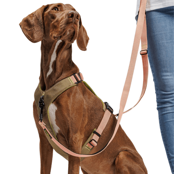 L-1-Hands-Free-Leash L Peach, view: 4