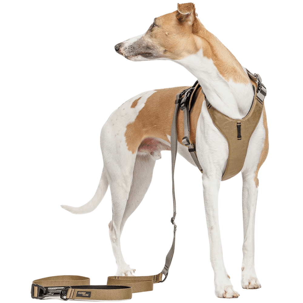 L-1-Hands-Free-Leash L Khaki / Grey, view: 2