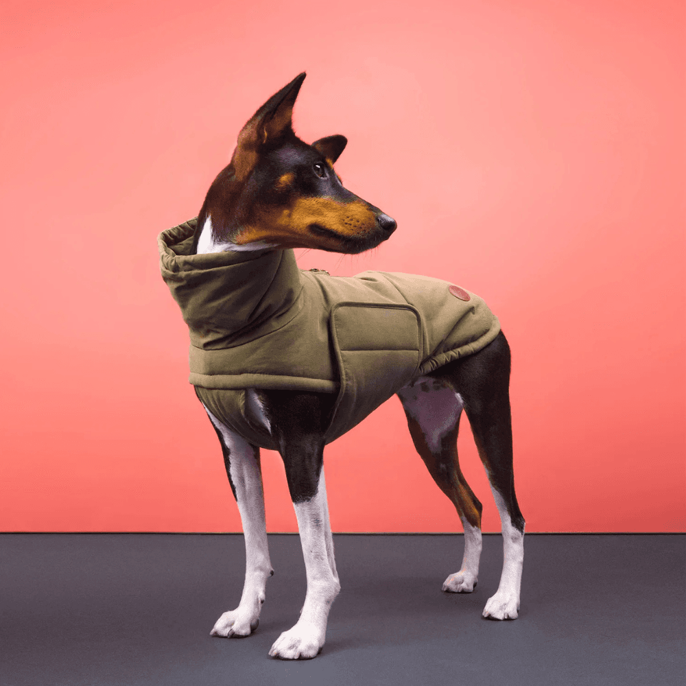 Yukon Winter Coat Teddy size 6 Khaki, view: 5