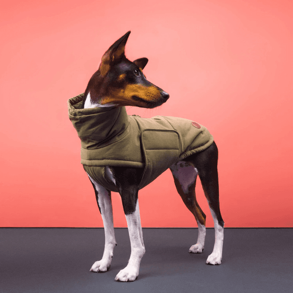 Yukon Winter Coat Teddy size 3-5 Khaki, view: 4