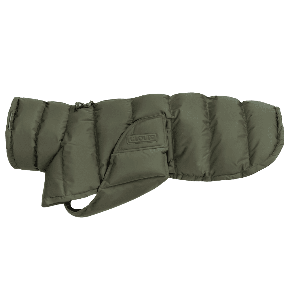 Everest Winter Coat Light size 6 Olive, view: 0