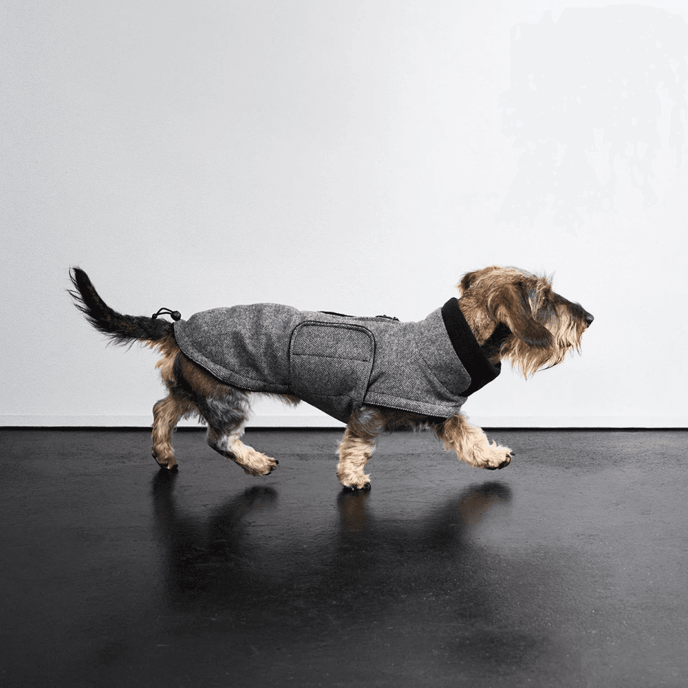 Brooklyn Winter Coat Tweed Dachshund size 3-5 Black, view: 4