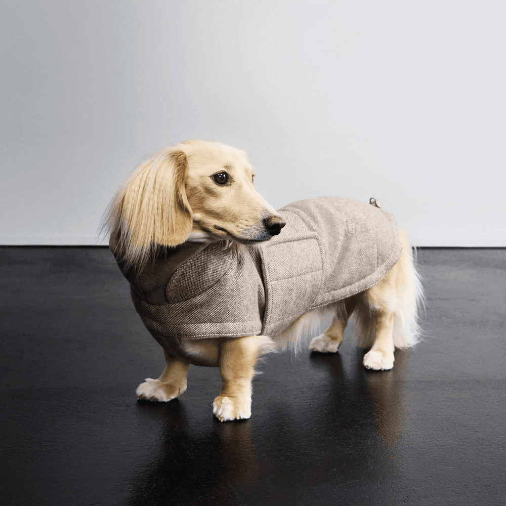 Brooklyn Winter Coat Tweed Dachshund size 3-5 Beige, view: 4