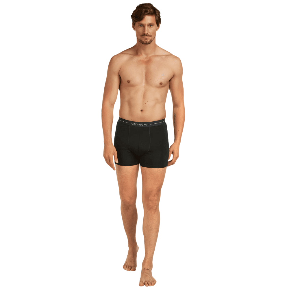 M's Merino 150 Anatomica Boxers 2 Pack Black, view: 4