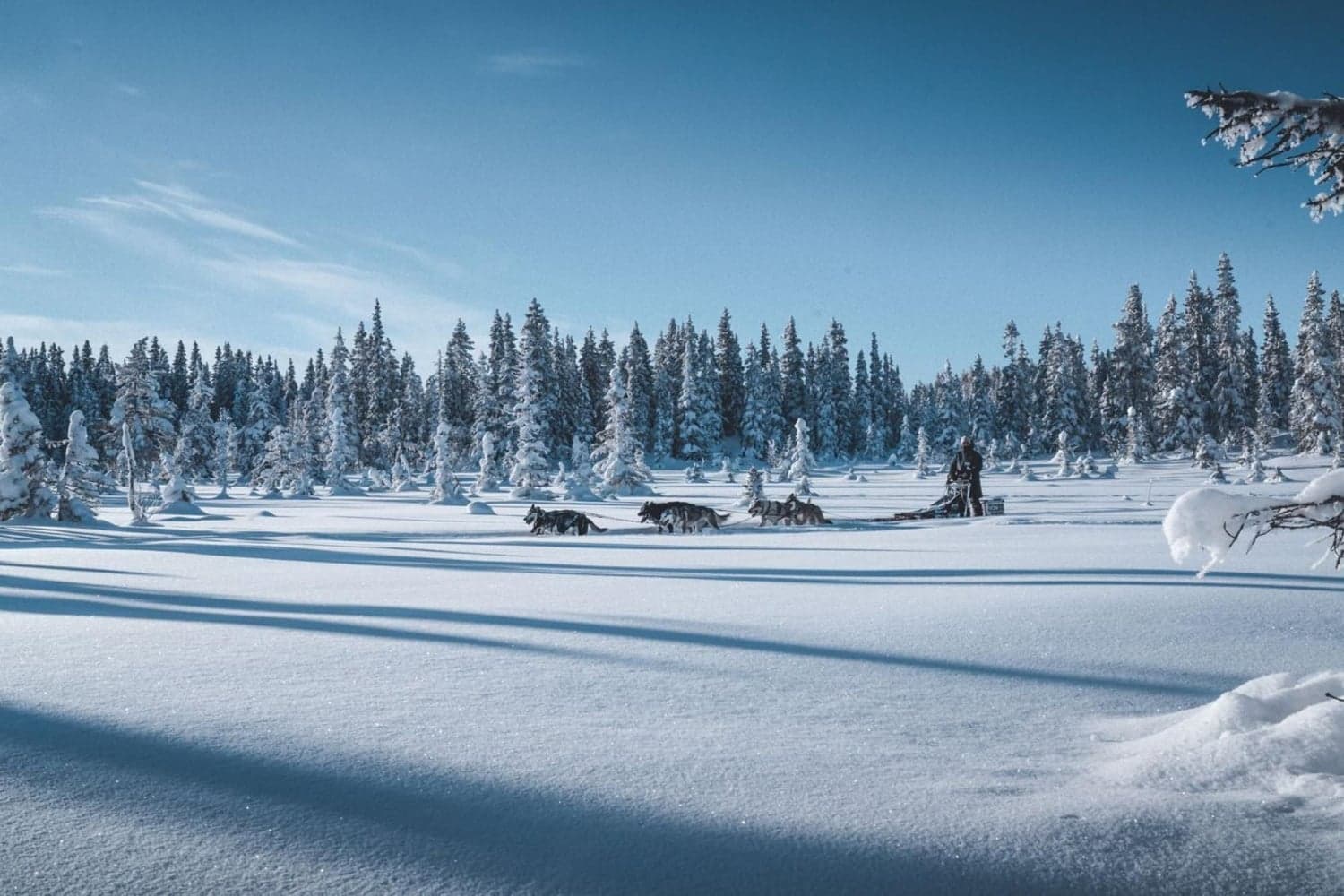 Tundra Svart, view: 2