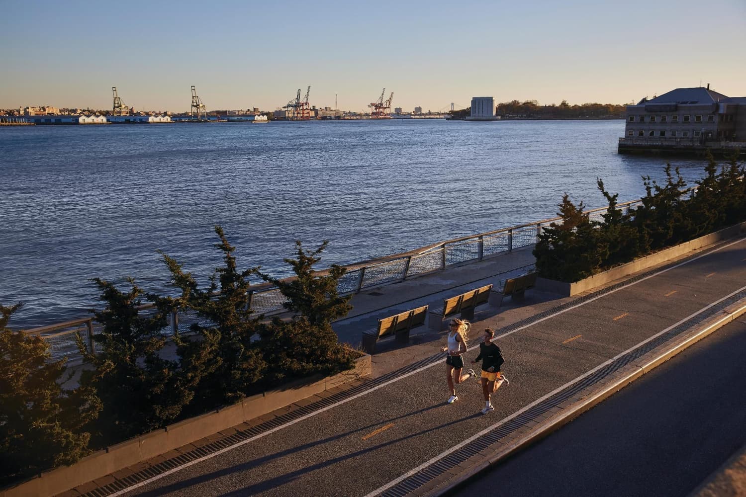 Forerunner 265 Black, view: 13