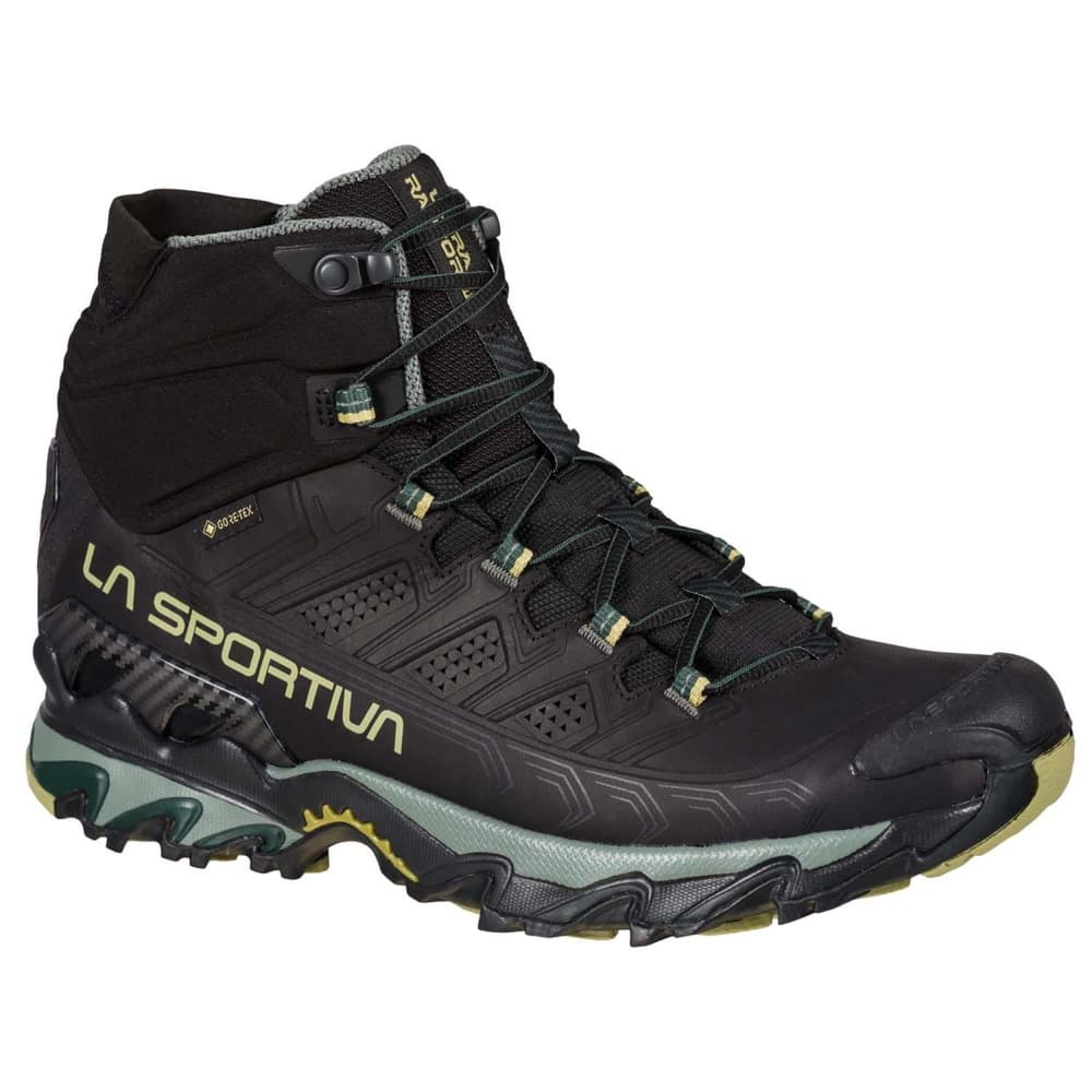 Ultra Raptor II LT Mid GTX Black/Cedar, view: 0