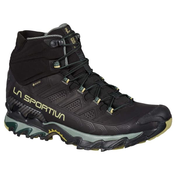 Ultra Raptor II LT Mid GTX Black/Cedar, view: 0