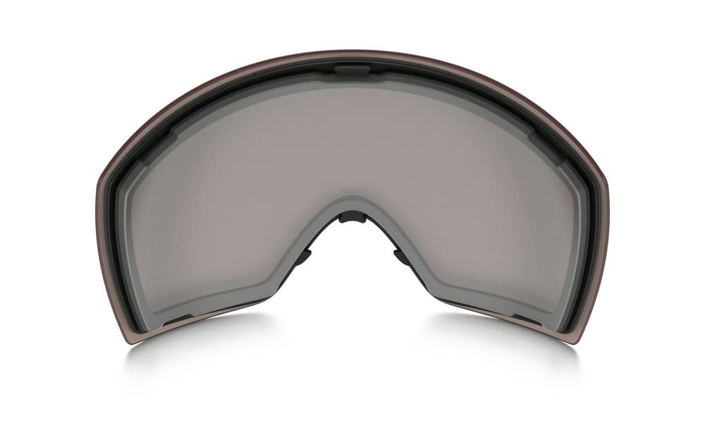 Flight Deck L Replacement Prizm Snow Hi Pink Iridium, view: 2