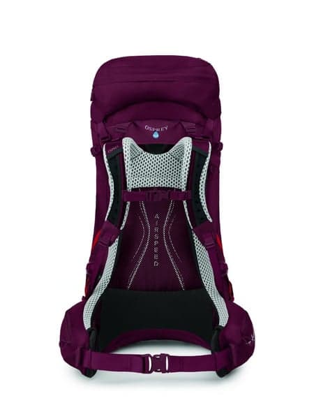 Aura Ag Lt 50 Antidote Purple, view: 3